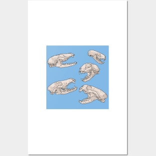 North American Predator Skulls Blue Posters and Art